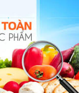 <a href="/tin-tuc" title="Tin tức" rel="dofollow">Tin tức</a>