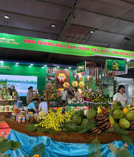 <a href="/tin-tuc" title="Tin tức" rel="dofollow">Tin tức</a>